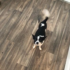 Meet your Posher, Dashawn